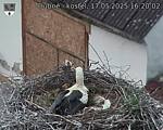 Capi_Dubne_20250517_162002.jpg