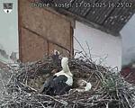 Capi_Dubne_20250517_162502.jpg