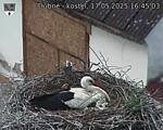 Capi_Dubne_20250517_164503.jpg