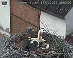 Capi_Dubne_20250517_180502.jpg