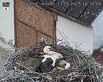 Capi_Dubne_20250517_183004.jpg