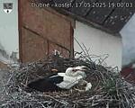 Capi_Dubne_20250517_190003.jpg