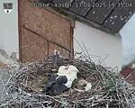 Capi_Dubne_20250517_193504.jpg