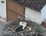 Capi_Dubne_20250517_194002.jpg