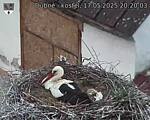 Capi_Dubne_20250517_202003.jpg