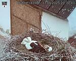 Capi_Dubne_20250517_203003.jpg