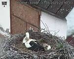 Capi_Dubne_20250517_204003.jpg
