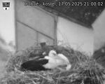 Capi_Dubne_20250517_210002.jpg