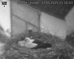 Capi_Dubne_20250517_211003.jpg