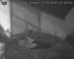 Capi_Dubne_20250517_212002.jpg