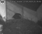 Capi_Dubne_20250517_213502.jpg