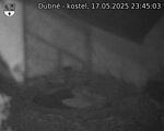 Capi_Dubne_20250517_234503.jpg