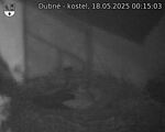 Capi_Dubne_20250518_001503.jpg