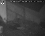 Capi_Dubne_20250518_002003.jpg