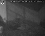Capi_Dubne_20250518_003003.jpg