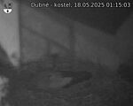 Capi_Dubne_20250518_011503.jpg