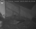 Capi_Dubne_20250518_012502.jpg
