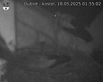Capi_Dubne_20250518_015502.jpg