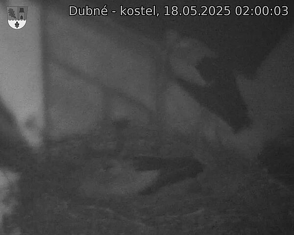 Capi_Dubne_20250518_020003.jpg (1350 x 1080)