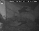 Capi_Dubne_20250518_020503.jpg