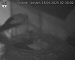 Capi_Dubne_20250518_023002.jpg