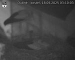 Capi_Dubne_20250518_031003.jpg