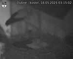 Capi_Dubne_20250518_031502.jpg