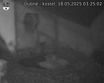 Capi_Dubne_20250518_032502.jpg