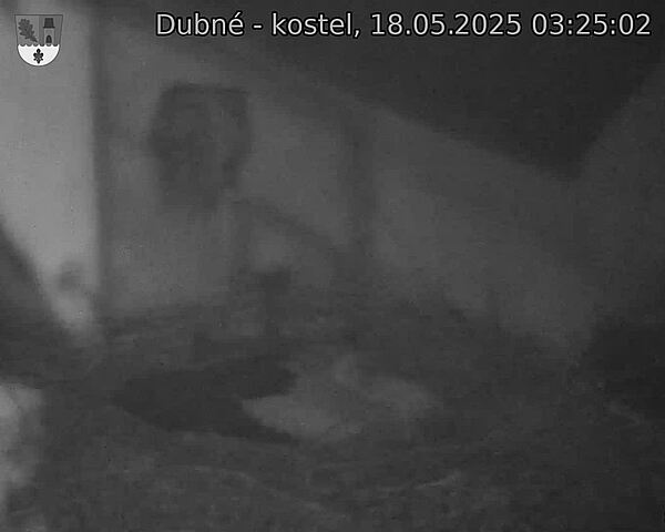 Capi_Dubne_20250518_032502.jpg (1350 x 1080)