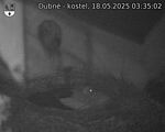 Capi_Dubne_20250518_033502.jpg