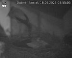 Capi_Dubne_20250518_035503.jpg