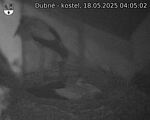 Capi_Dubne_20250518_040502.jpg