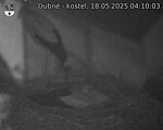 Capi_Dubne_20250518_041003.jpg
