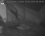 Capi_Dubne_20250518_042002.jpg