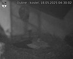 Capi_Dubne_20250518_043002.jpg