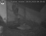 Capi_Dubne_20250518_043502.jpg
