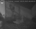 Capi_Dubne_20250518_044003.jpg