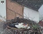 Capi_Dubne_20250518_123003.jpg