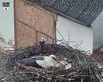 Capi_Dubne_20250518_124503.jpg