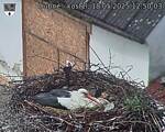 Capi_Dubne_20250518_125003.jpg