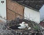 Capi_Dubne_20250518_132003.jpg