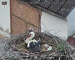 Capi_Dubne_20250518_141503.jpg