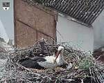 Capi_Dubne_20250518_153003.jpg