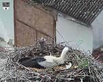 Capi_Dubne_20250518_153503.jpg