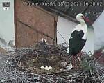 Capi_Dubne_20250518_163002.jpg