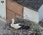 Capi_Dubne_20250518_183003.jpg