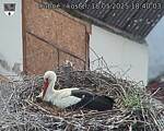 Capi_Dubne_20250518_184003.jpg