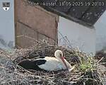 Capi_Dubne_20250518_192003.jpg