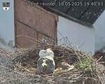 Capi_Dubne_20250518_194003.jpg