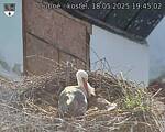 Capi_Dubne_20250518_194502.jpg
